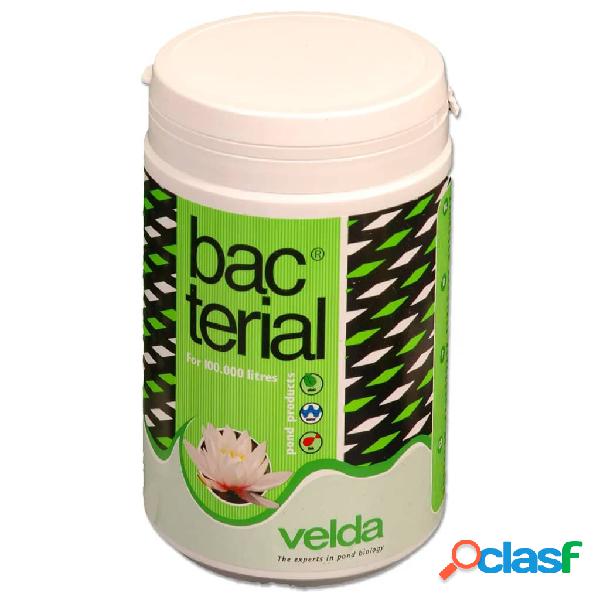 Velda Bacterias para equilibrio de estanque 1000 ml 122636