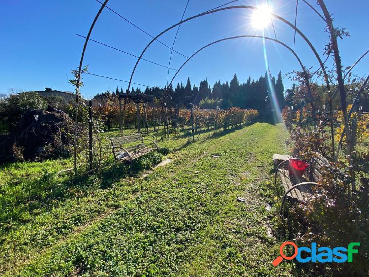 Barraca de obra de 50m2, con 2000m2 de terreno.