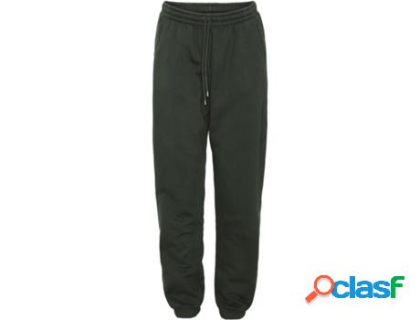 Joggers COLORFUL STANDARD Mujer (XL - Verde)