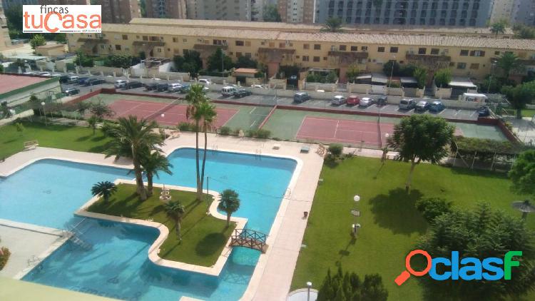 Se alquila apartamento en Benidorm.