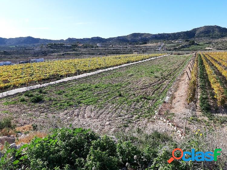 TERRENO EN LA HORNA