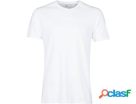 Camiseta COLORFUL STANDARD Mujer (S - Blanco)