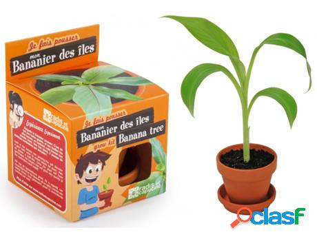 Jogo de Mesa RADIS ET CAPUCINE I Grow My Banana Tree (4