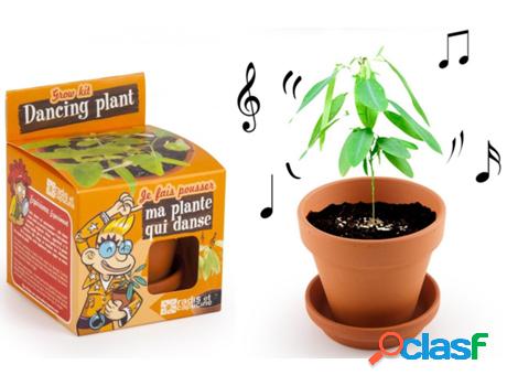 Jogo de Mesa RADIS ET CAPUCINE I Grow My Dancing Plant (4
