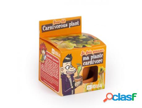 Jogo de Mesa RADIS ET CAPUCINE I Grow My Flytrap (4 Anos)