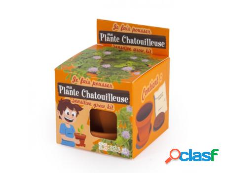 Jogo de Mesa RADIS ET CAPUCINE I Grow My Mimosa (4 Anos)