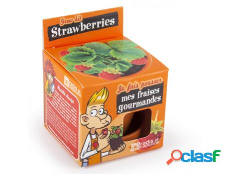Jogo de Mesa RADIS ET CAPUCINE I Grow My Strawberry (4 Anos)