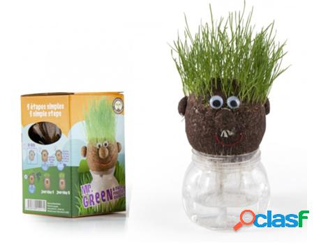 Jogo de Mesa RADIS ET CAPUCINE Mr Green - Grass Kit (4 Anos)