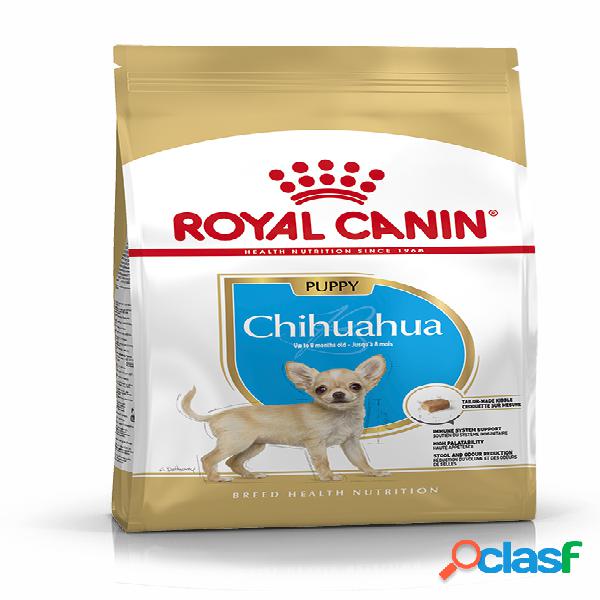 Royal Canin Chihuahua Puppy 0,5 kg