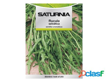 Semillas aromaticas rucula selvatica (2.5 gramos)