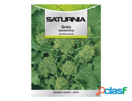 Semillas grelo brocoli (10 gramos) semillas verduras,