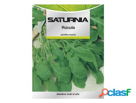 Semillas rucula (9 gramos) semillas verduras, horticultura,