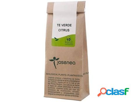 Té Verde Citrus Kraft JOSENEA (10 Bolsitas Infusoras - Té