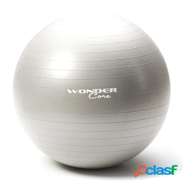 Wonder Core Pelota de gimnasio 75 cm gris anti reventón