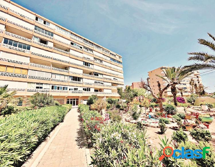 APARTAMENTO EN LA MATA - 2 PISO - 1 DORM. 1