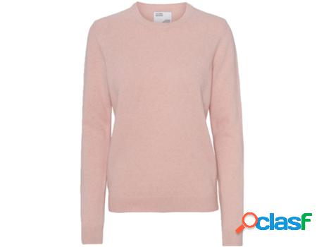 Camiseta COLORFUL STANDARD Mujer (Multicolor - M)