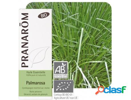 Óleo Essencial PRANAROM Partes Aereas Bio (10 Ml -