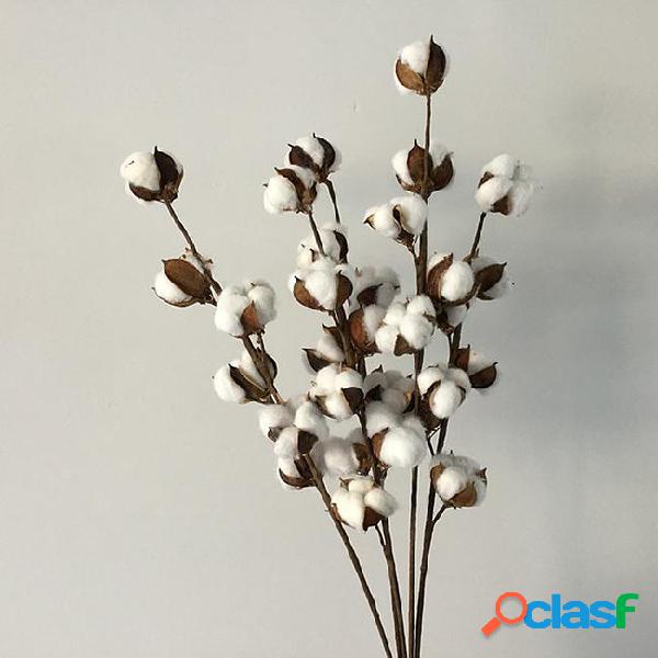 4pcs/lot natural dry branches 6 head cotton dry flowers