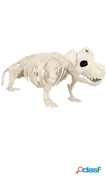 Esqueleto de Perro Guardián