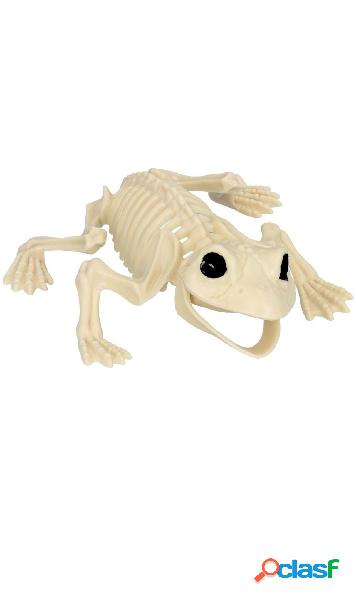 Esqueleto de Rana