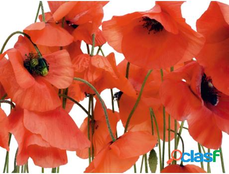 Fotomural SANDERS & SANDERS (360 x 254 cm - Papel - Rojo)