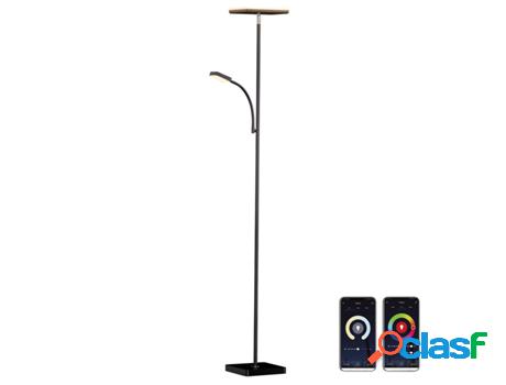 Lámpara de Pie LEDBOX Led 50W