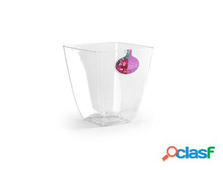 Maceta transparente orchid 13,5x15 cm
