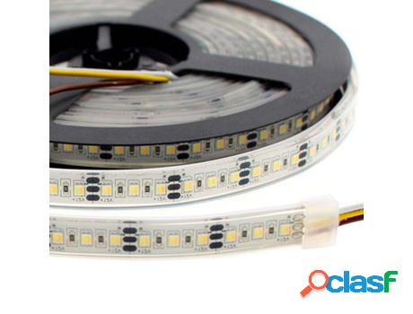 Tira Led Dual Smd3528 Dc12V 5M (240 Led/M) 48W Ip68 Dual