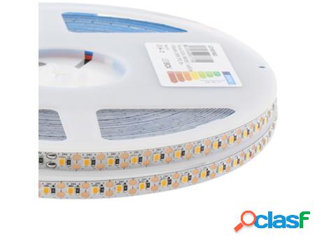 Tira Led LEDBOX Monocolor Dc24V 20 m(100Led M) Corte 10m160W