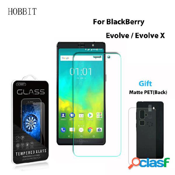 9h 0.3mm 2.5d glass guard for evolve / evolve x tempered