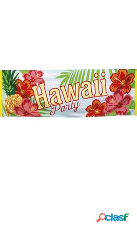 Bandera Hawai Paradise
