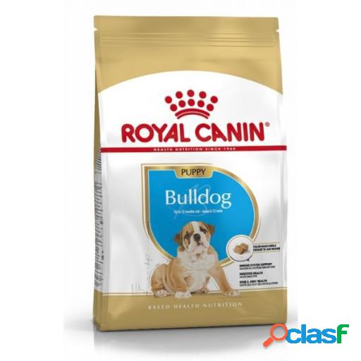 Bulldog Puppy Pienso para Cachorro de Raza 3 Kg Royal Canin