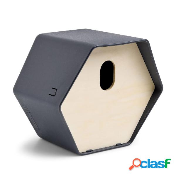 Capi Casita para pájaros Hive 2 gris antracita 19x23x20 cm