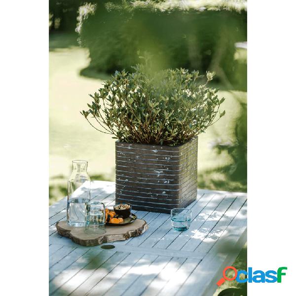 Capi Macetero Nature Row cuadrado verde oliva 30x30x30 cm
