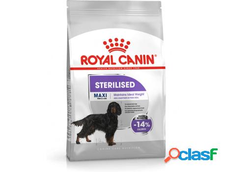 Comida ROYAL CANIN Sterilised Maxi Adult Seca para Perro
