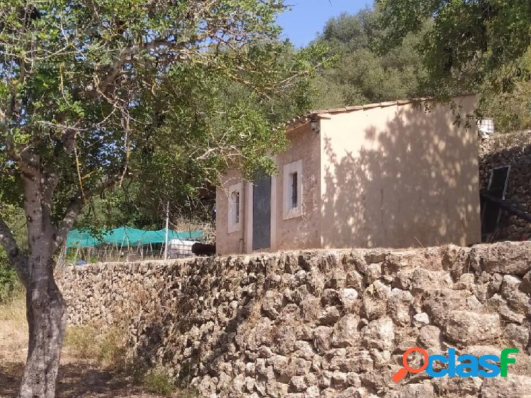 Estupenda parcela en un lugar idilico de Esporles