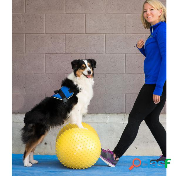 FitPAWS Plataforma de equilibrio mascotas Trax Peanut