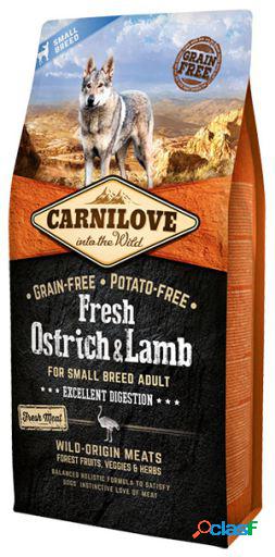 Fresh Ostr & Lamb Dige Small 6 KG Carnilove