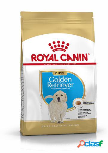 Golden Retriever Puppy Pienso para Cachorro de Raza 3 Kg