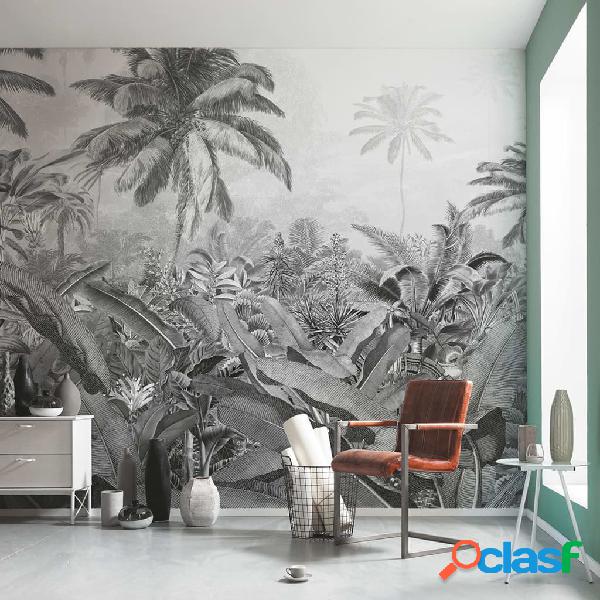 Komar Mural fotográfico Amazonia negro y blanco 400x250 cm