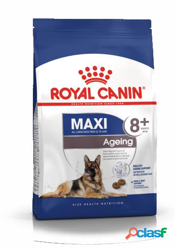 Maxi Ageing 8+ Pienso Perro en Edad Avanzada de Razas