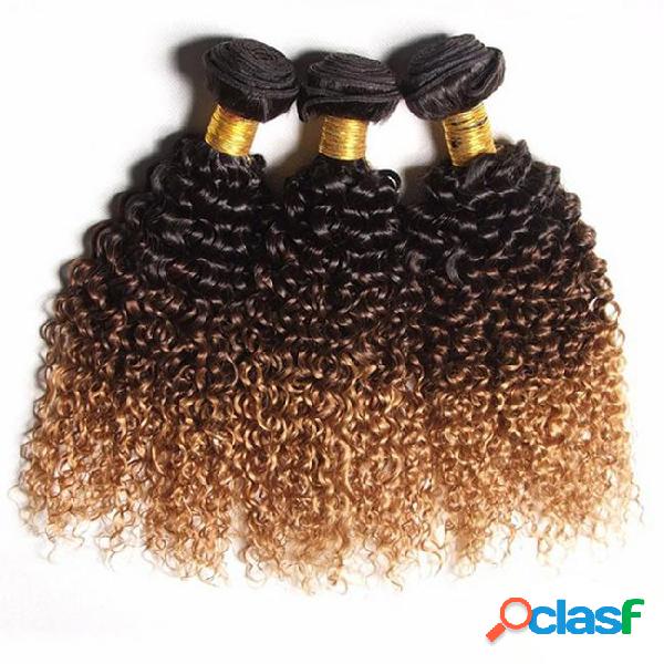 Ombre brazilian kinky curly human hair bundles t1b 4 27