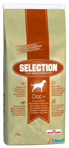 Pienso Selection HQ Croc+ Adult 15 Kg Royal Canin