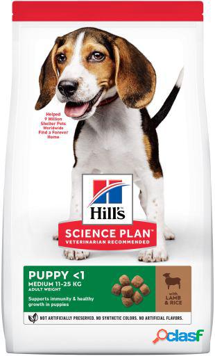 Science Plan Puppy Medium con Cordero y Arroz 2.5 KG Hill's