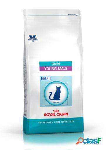 Skin Young Male 1.5 Kg Royal Canin