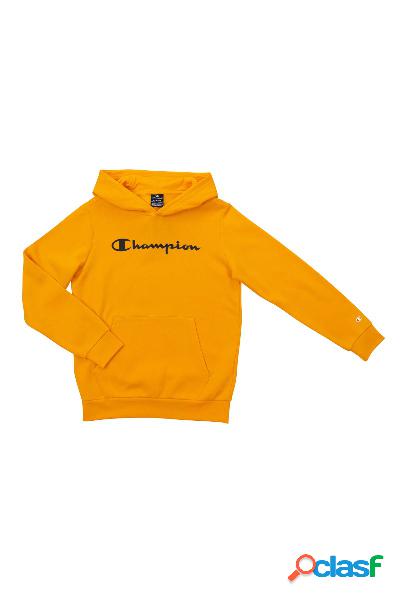 Sudadera con capucha American Classics Hooded