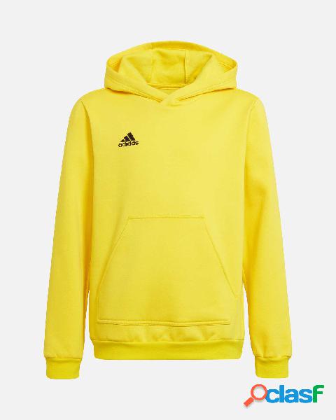 Sudadera con capucha adidas Entrada 22