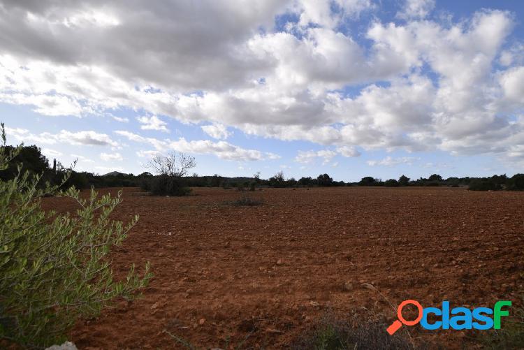Terreno rural edificable en Algaida