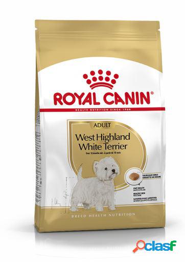 West Highland Terrier Adult Pienso para Perro Adulto Westie
